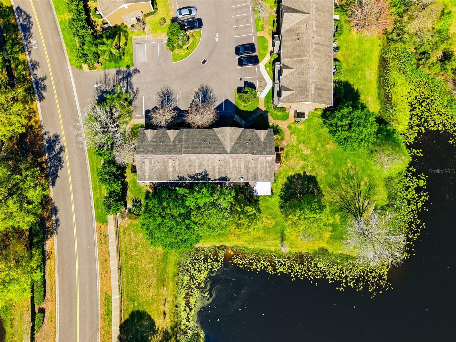 16511 LAKE BRIGADOON CIR, TAMPA, FL, 33618