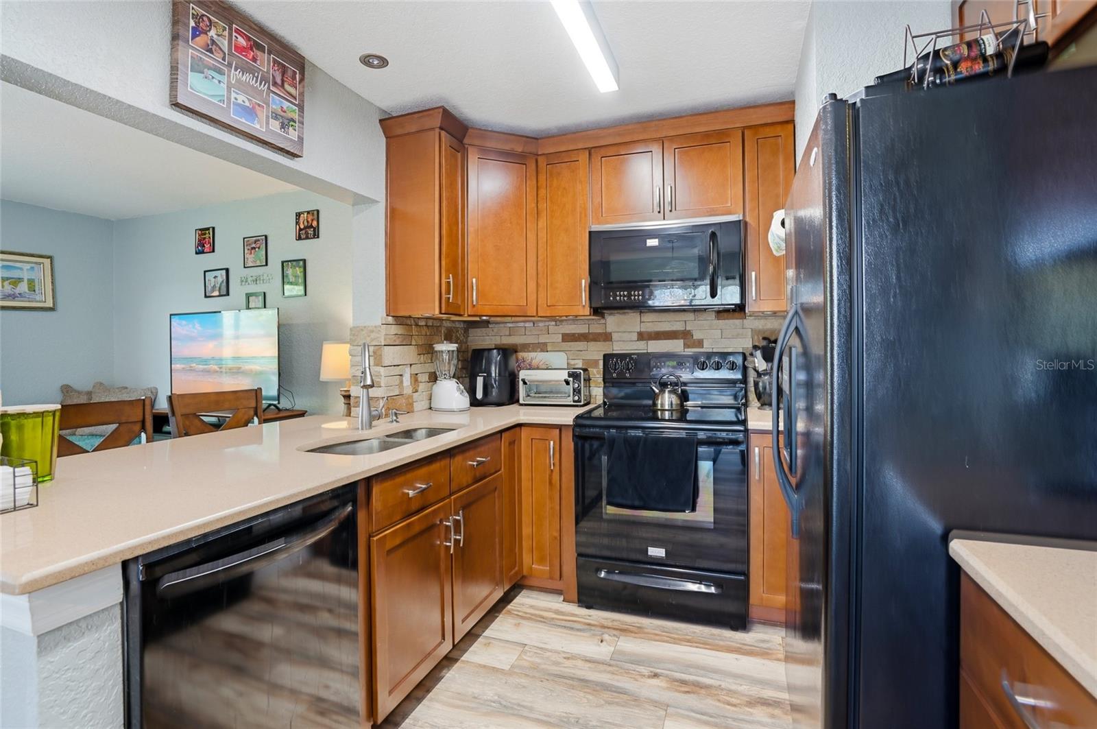 16511 LAKE BRIGADOON CIR, TAMPA, FL, 33618