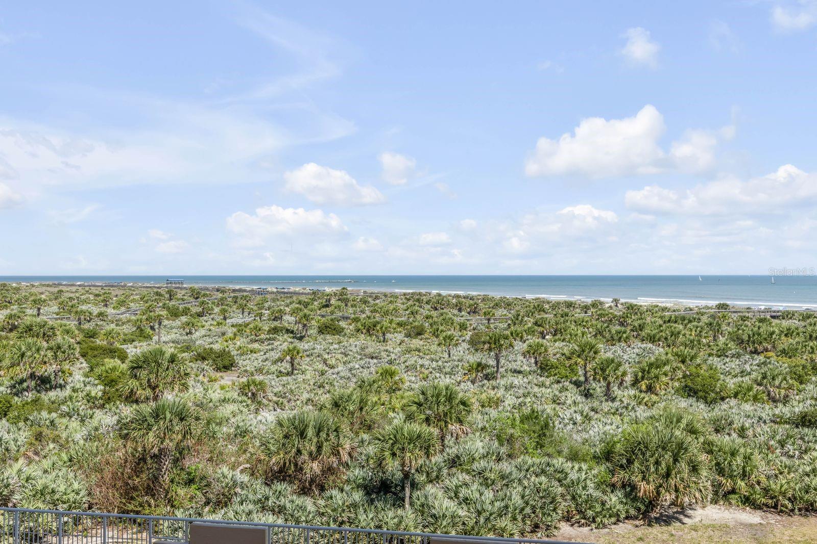 257 MINORCA BEACH WAY #303, NEW SMYRNA BEACH, FL, 32169