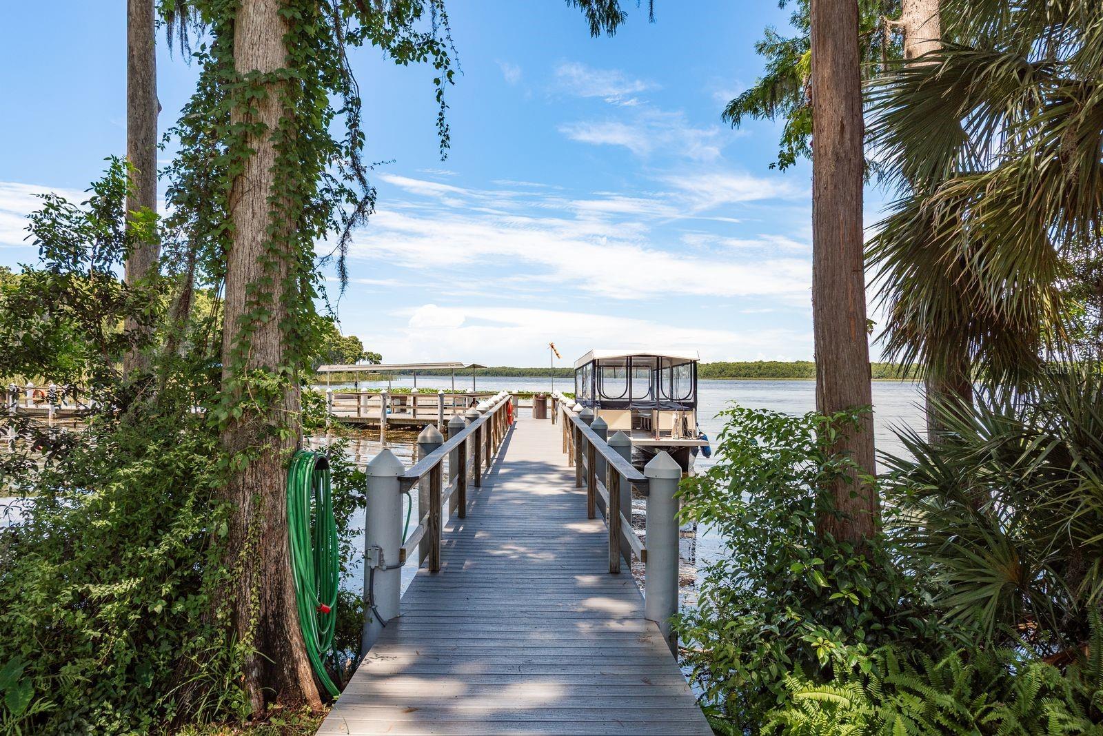 3305 GORSE CT, PALM HARBOR, FL, 34684