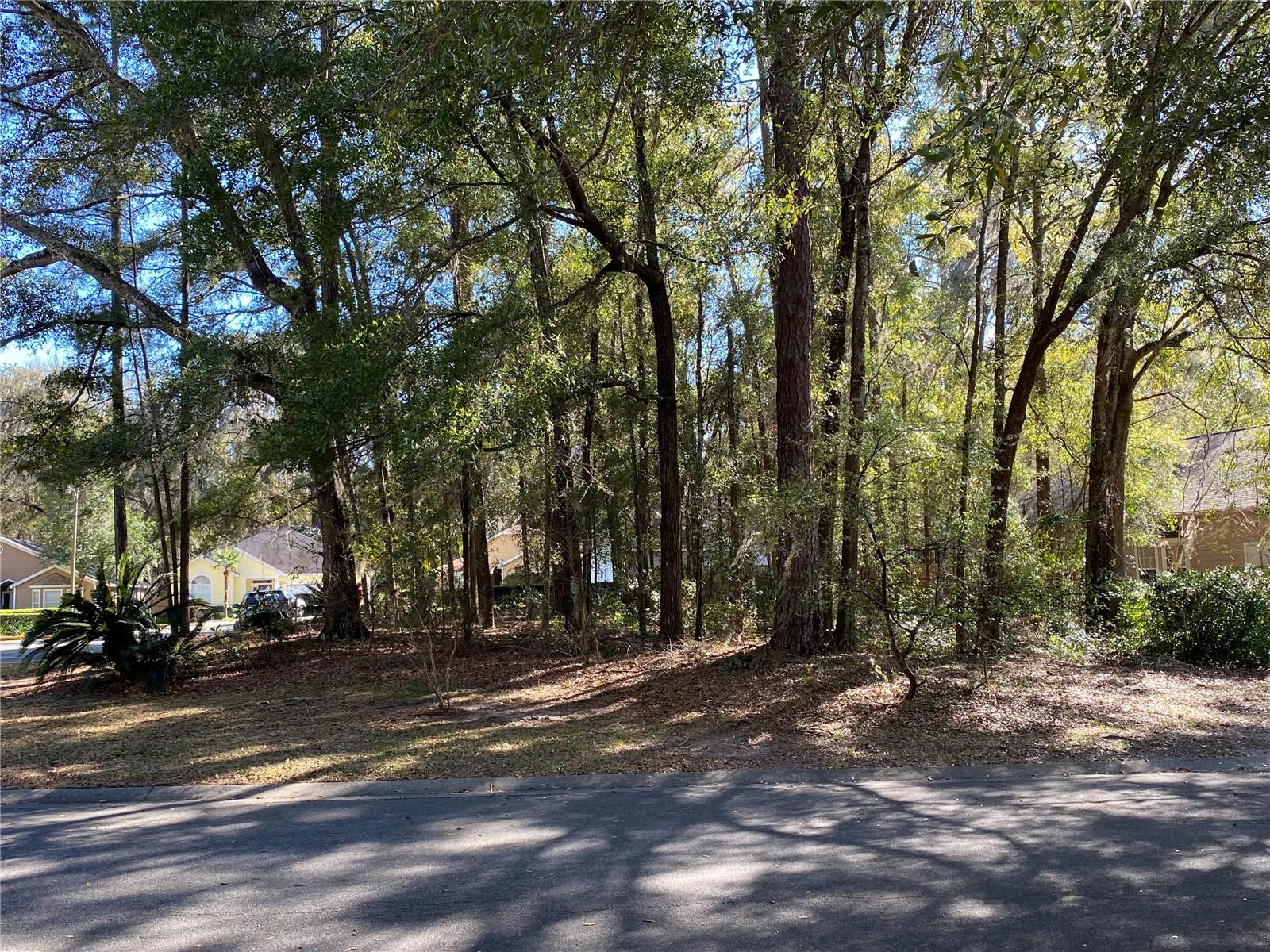 12345 NW 10TH PL, NEWBERRY, FL, 32669