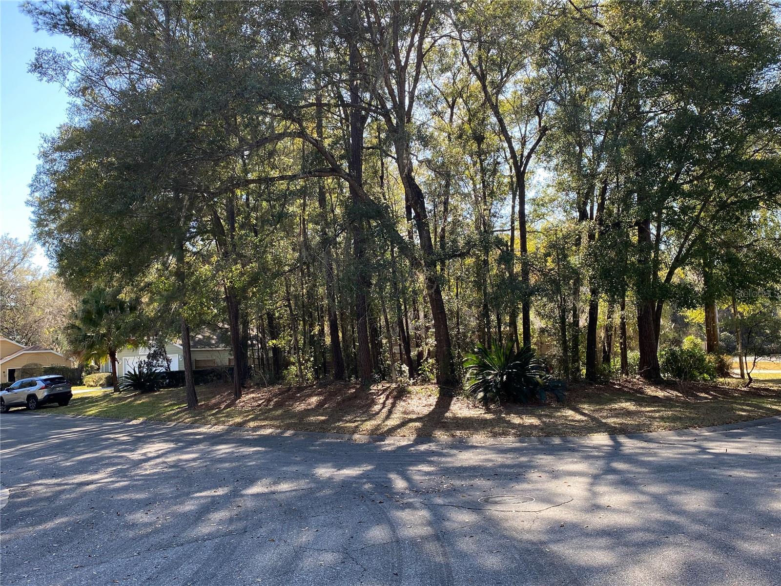 12345 NW 10TH PL, NEWBERRY, FL, 32669