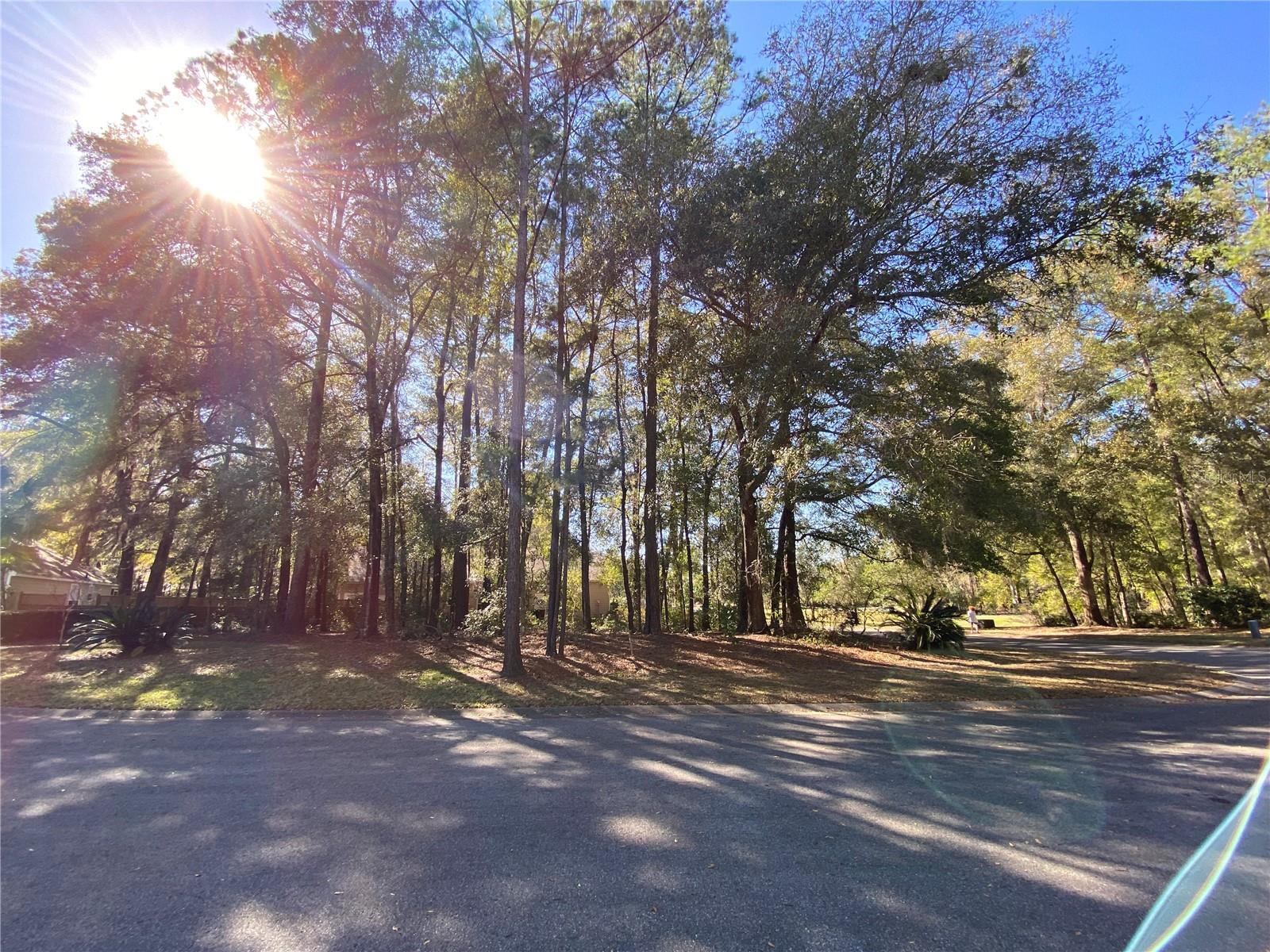 12345 NW 10TH PL, NEWBERRY, FL, 32669