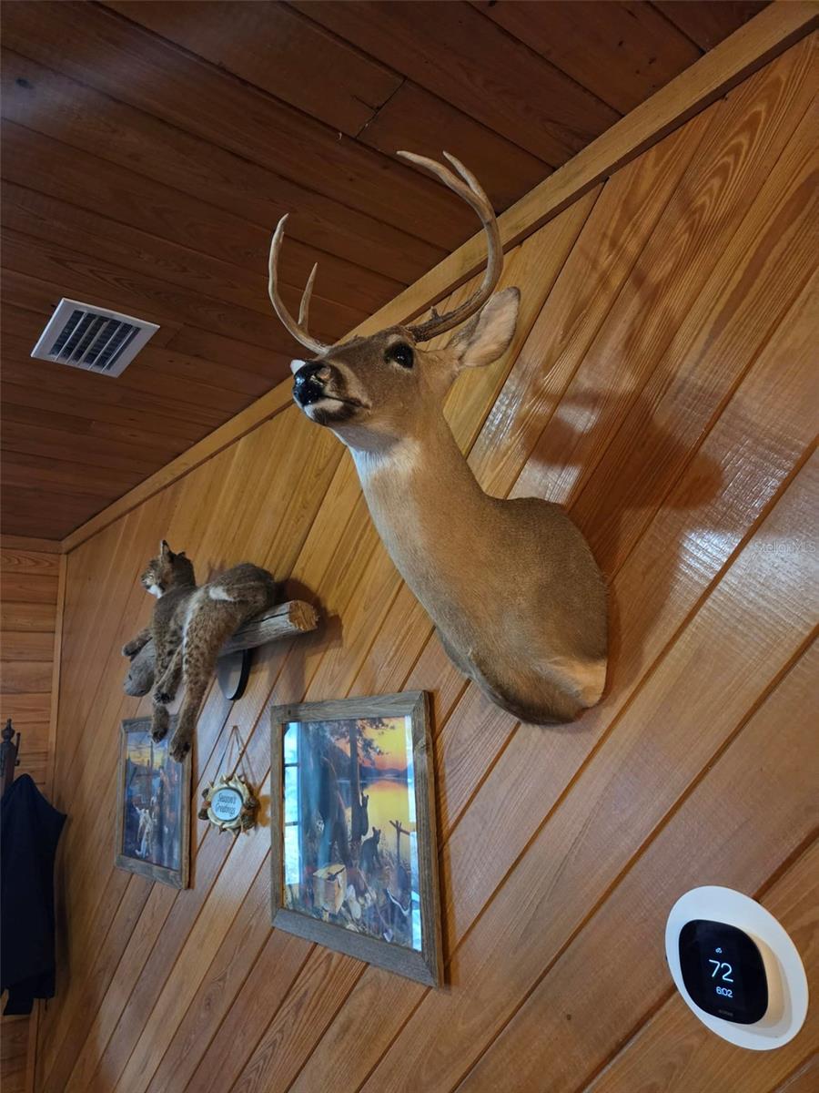 1106 FOX HUNTER RD, PERRY, FL, 32348