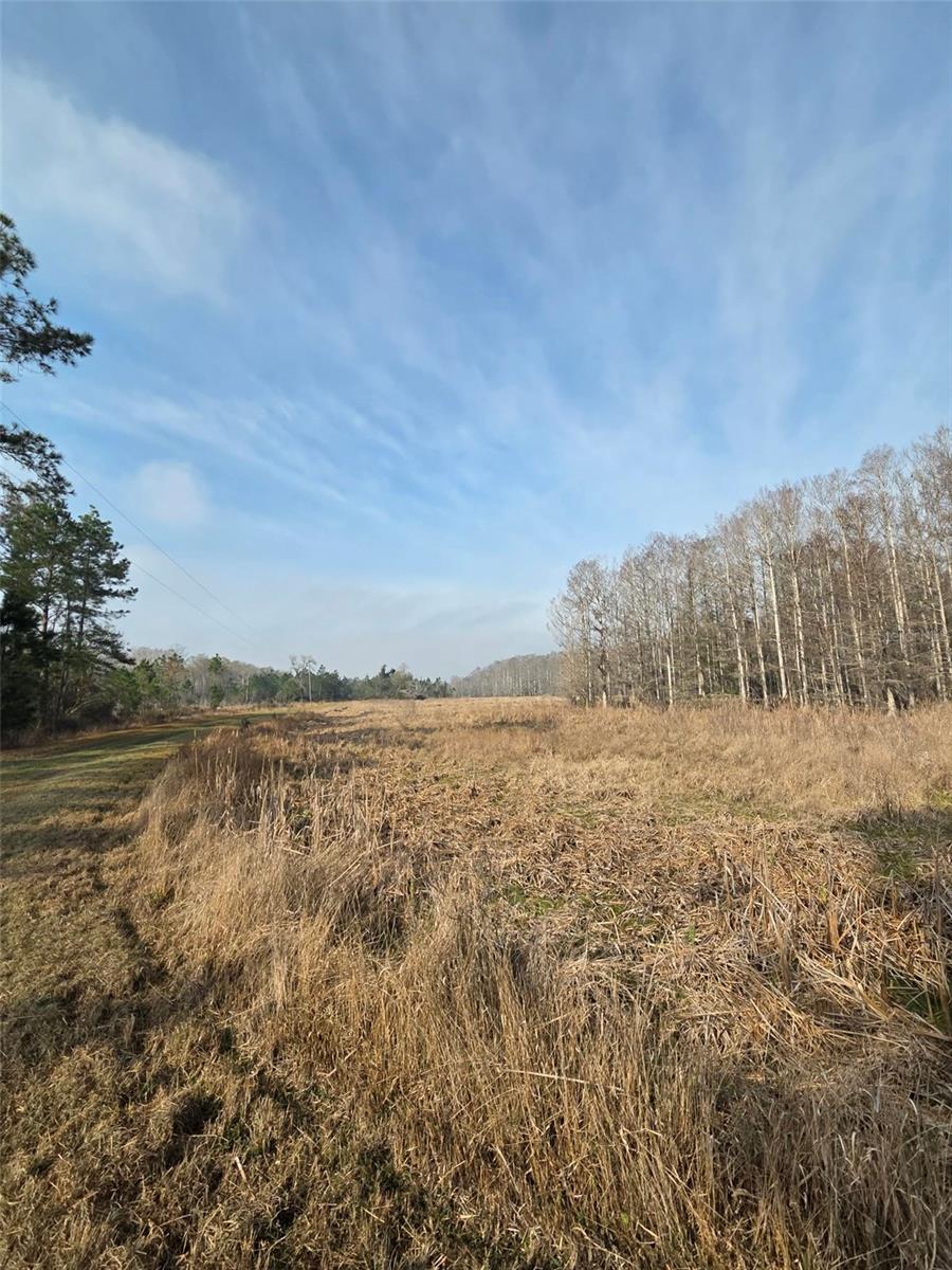 1106 FOX HUNTER RD, PERRY, FL, 32348