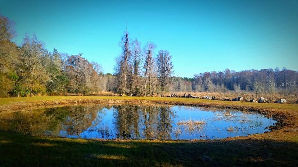 1106 FOX HUNTER RD, PERRY, FL, 32348