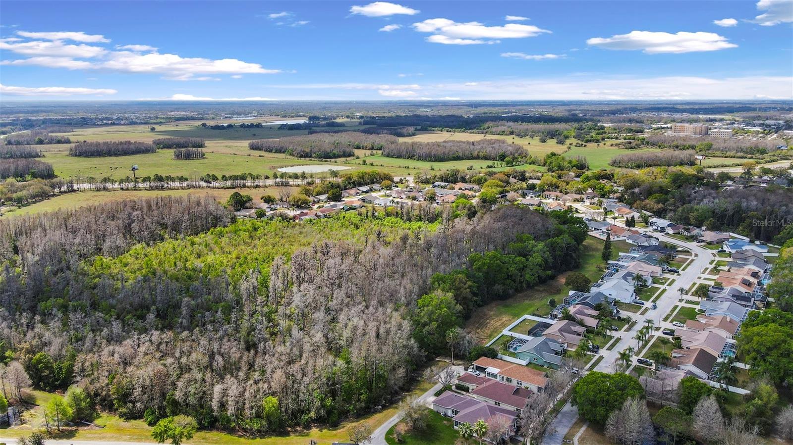 3141 TOWN AVE, NEW PORT RICHEY, FL, 34655