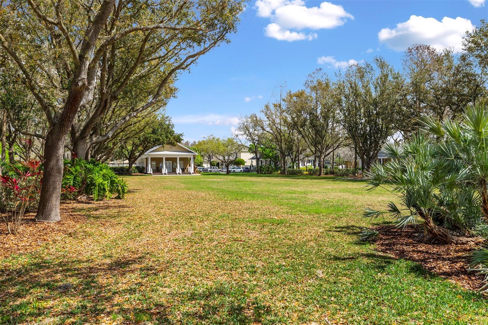 3141 TOWN AVE, NEW PORT RICHEY, FL, 34655