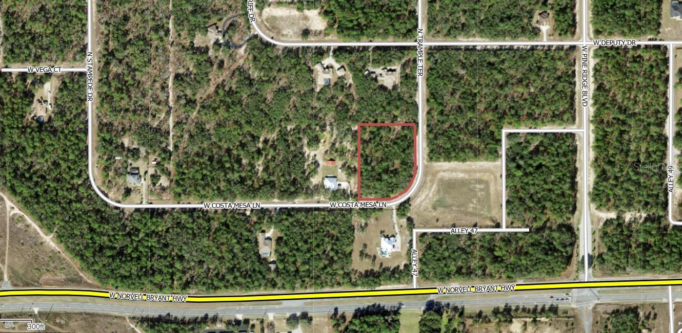 2102 N TRAMPLE TER, BEVERLY HILLS, FL, 34465