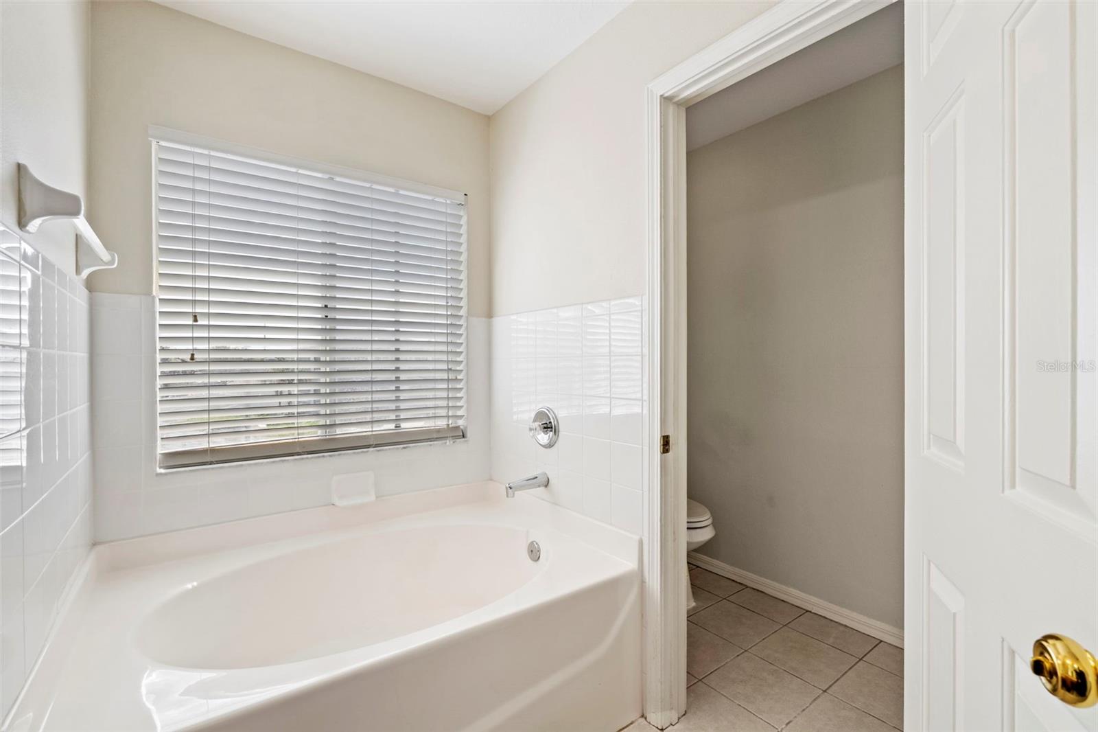 31001 MIDTOWN CT, WESLEY CHAPEL, FL, 33545