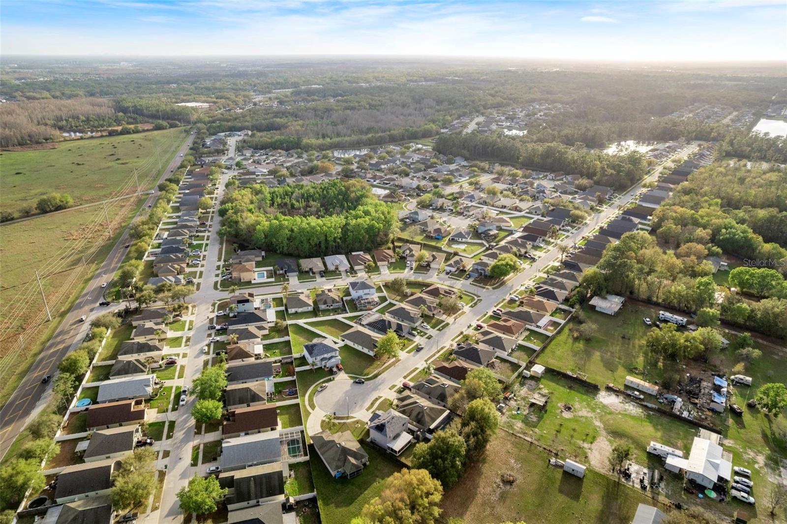 31001 MIDTOWN CT, WESLEY CHAPEL, FL, 33545