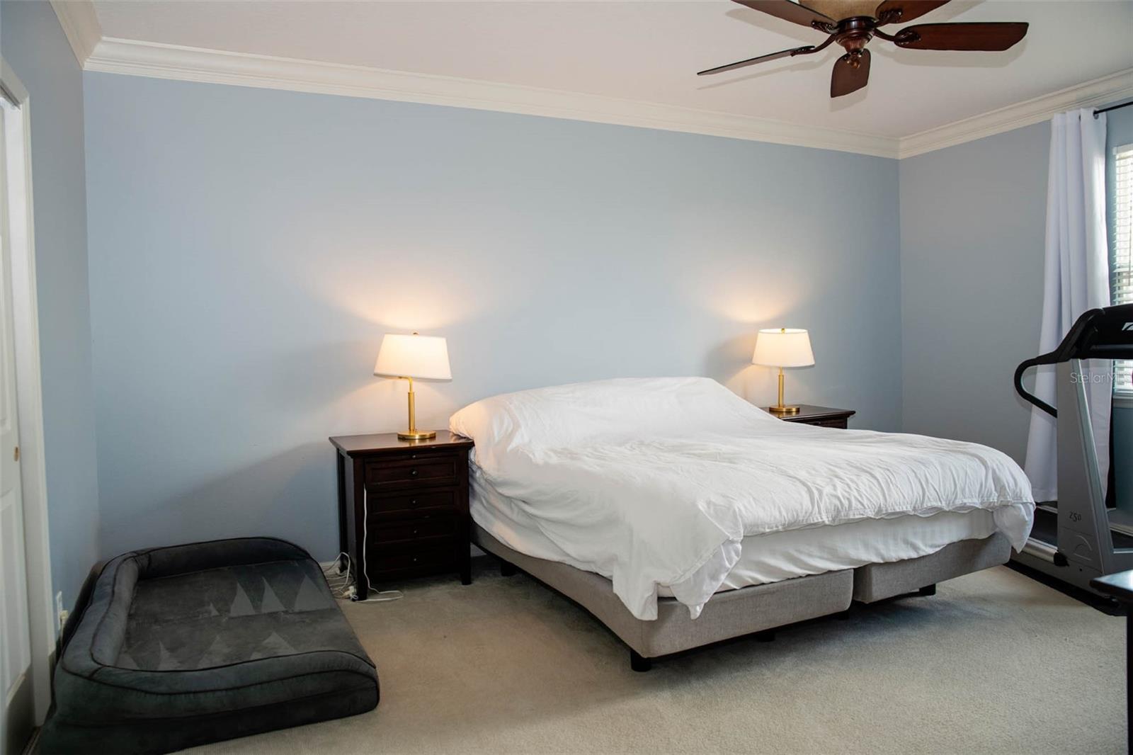 411 SYCAMORE ST, CELEBRATION, FL, 34747