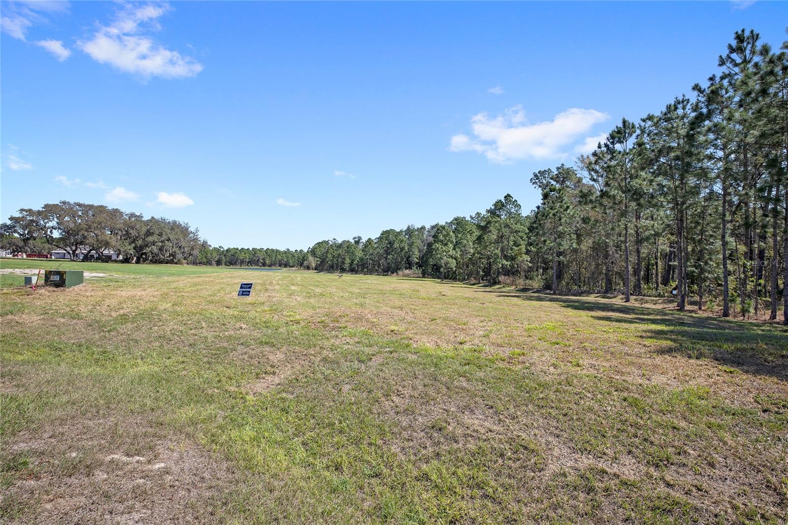 20280 SHORELINE RANCH LN, UMATILLA, FL, 32784