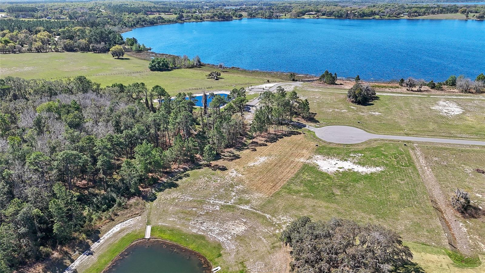 20280 SHORELINE RANCH LN, UMATILLA, FL, 32784