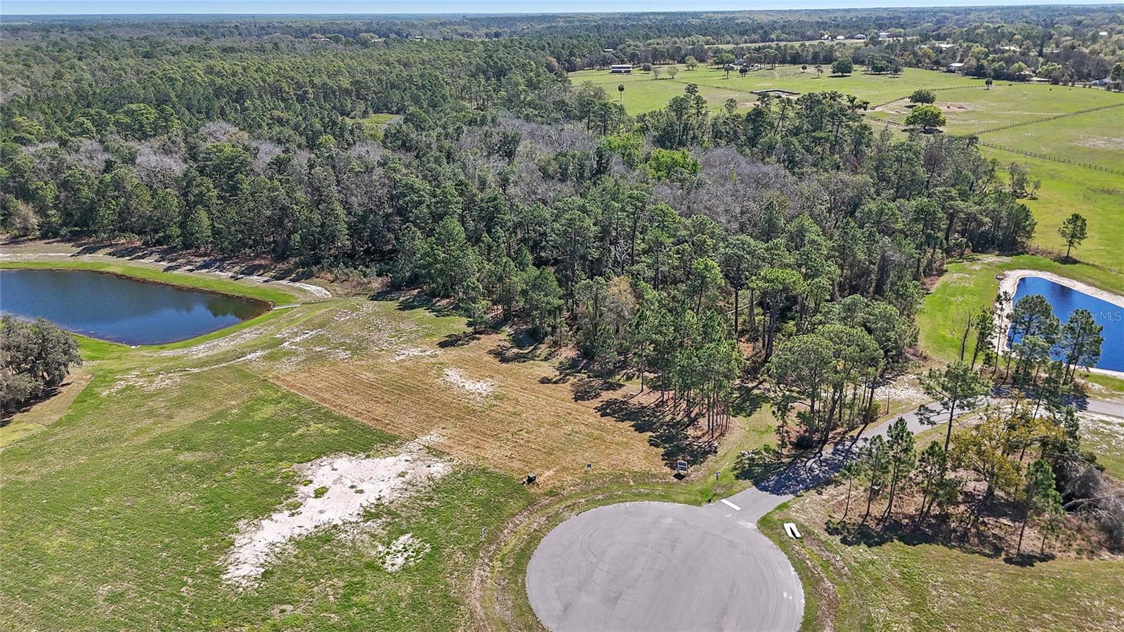 20280 SHORELINE RANCH LN, UMATILLA, FL, 32784