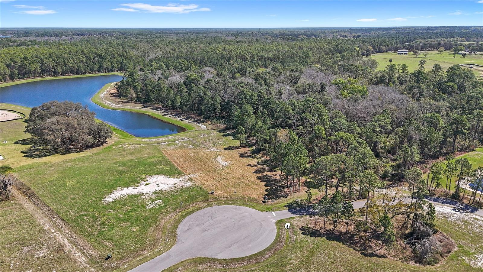 20280 SHORELINE RANCH LN, UMATILLA, FL, 32784