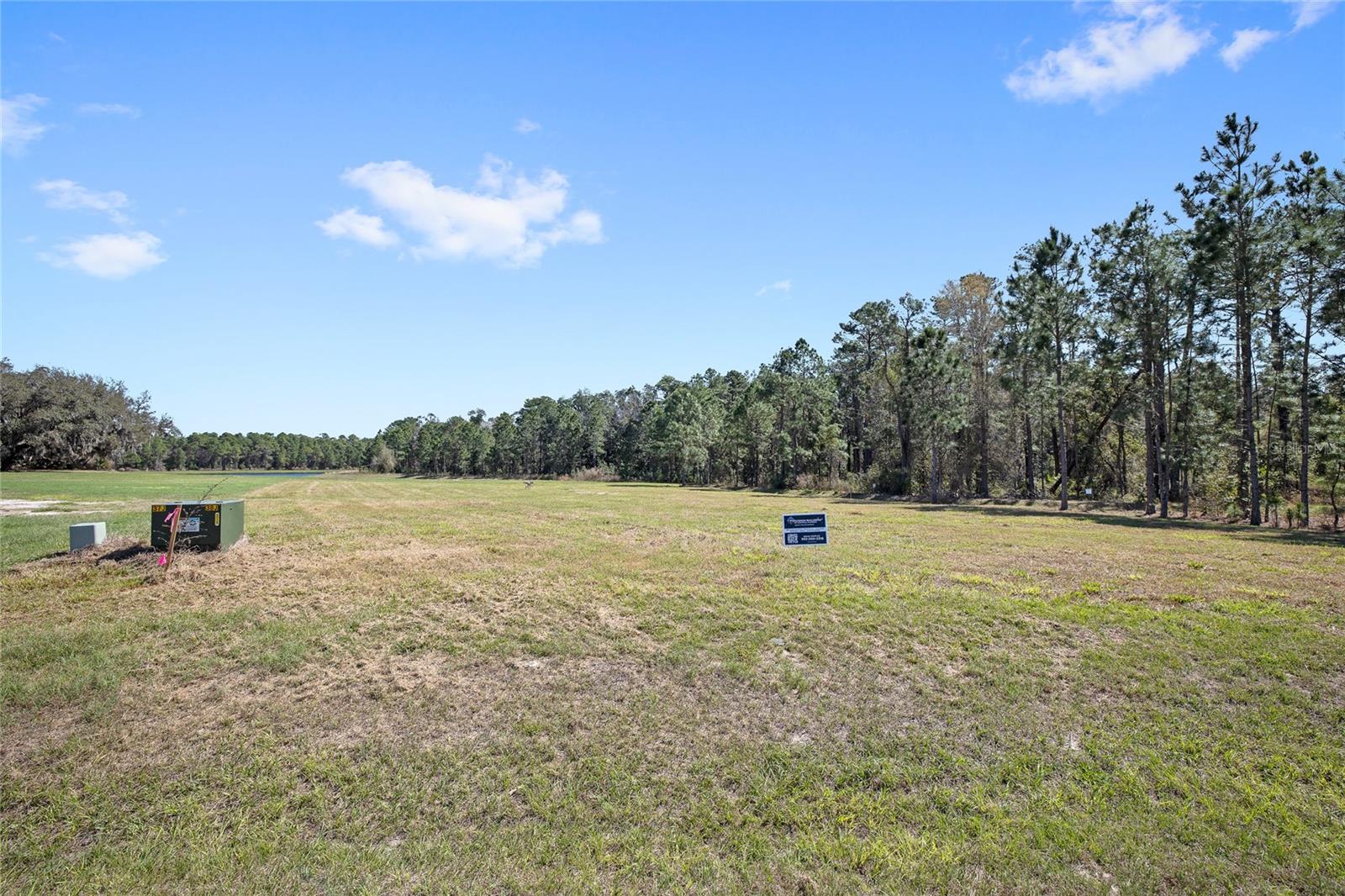 20280 SHORELINE RANCH LN, UMATILLA, FL, 32784