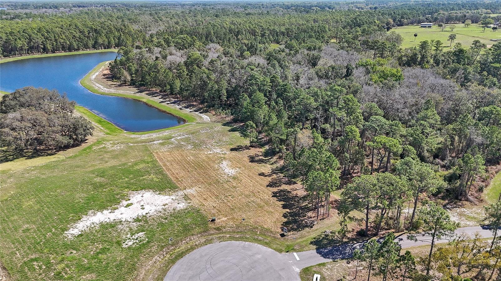 20280 SHORELINE RANCH LN, UMATILLA, FL, 32784