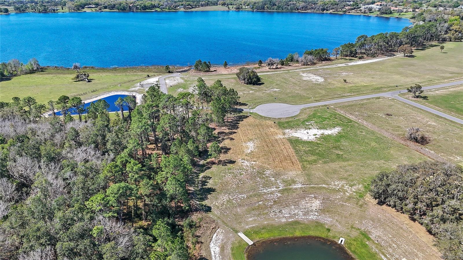 20280 SHORELINE RANCH LN, UMATILLA, FL, 32784