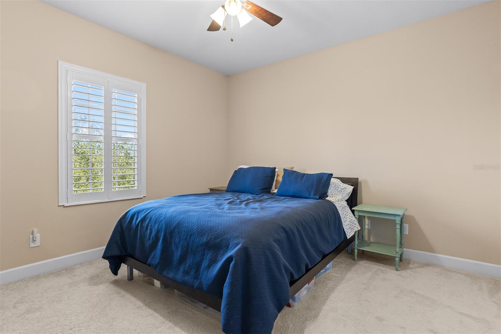 11143 WINTHROP LAKE DR, RIVERVIEW, FL, 33578