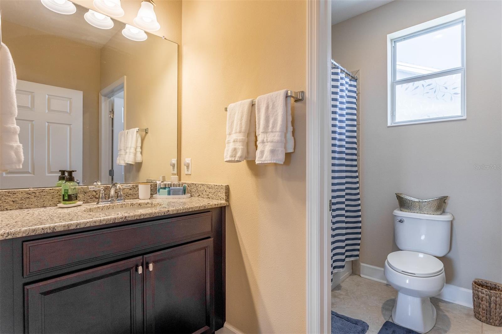 11143 WINTHROP LAKE DR, RIVERVIEW, FL, 33578