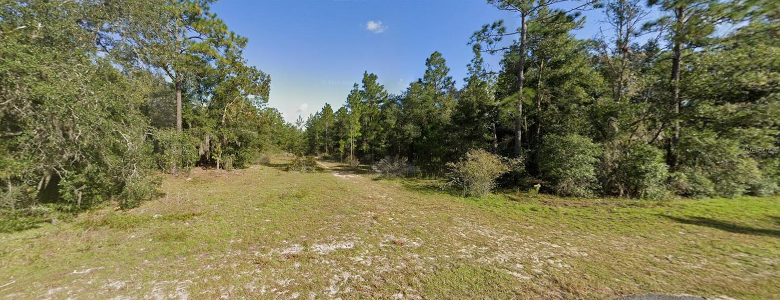 103 WYOMING ST, HAWTHORNE, FL, 32640