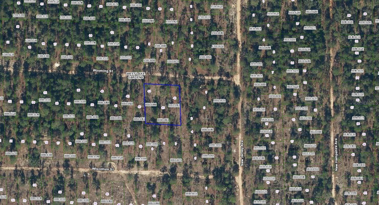 103 WYOMING ST, HAWTHORNE, FL, 32640