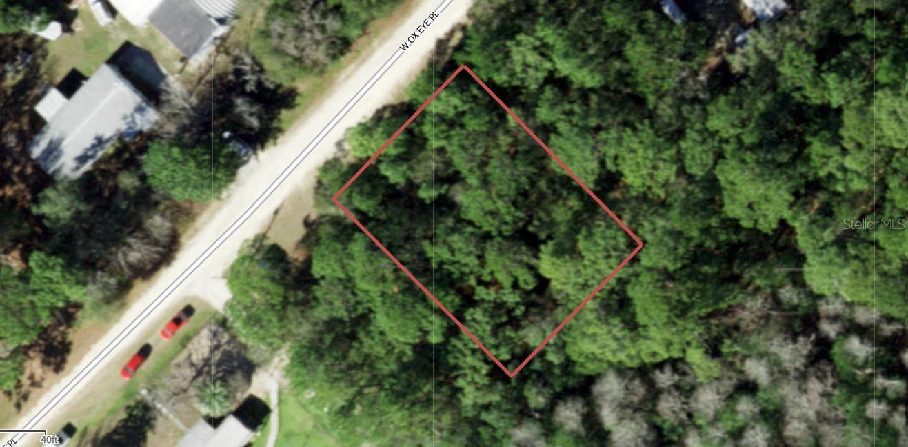 7820 W OX EYE PL, HOMOSASSA, FL, 34448