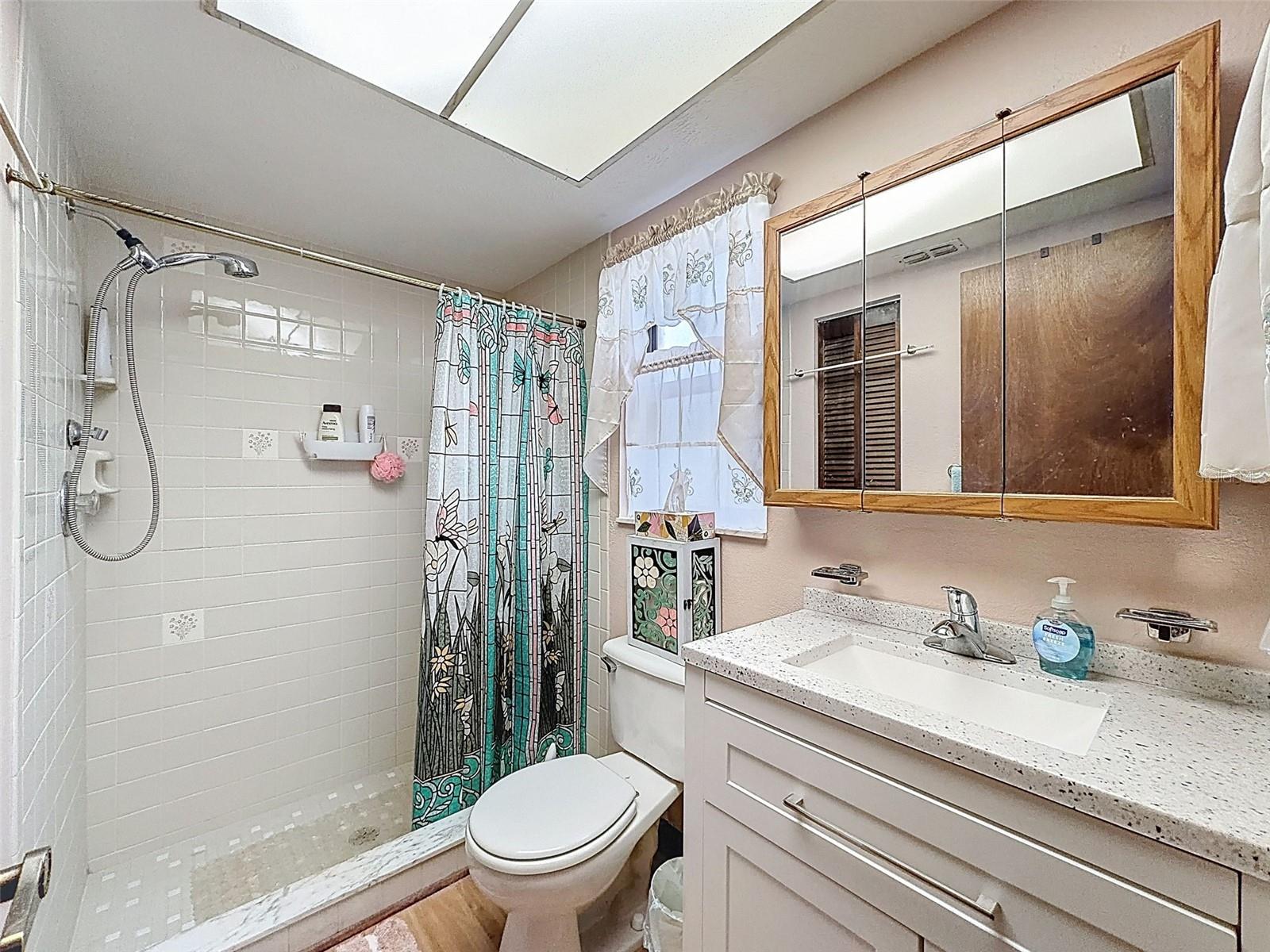 12229 CEDRO ST, SPRING HILL, FL, 34609