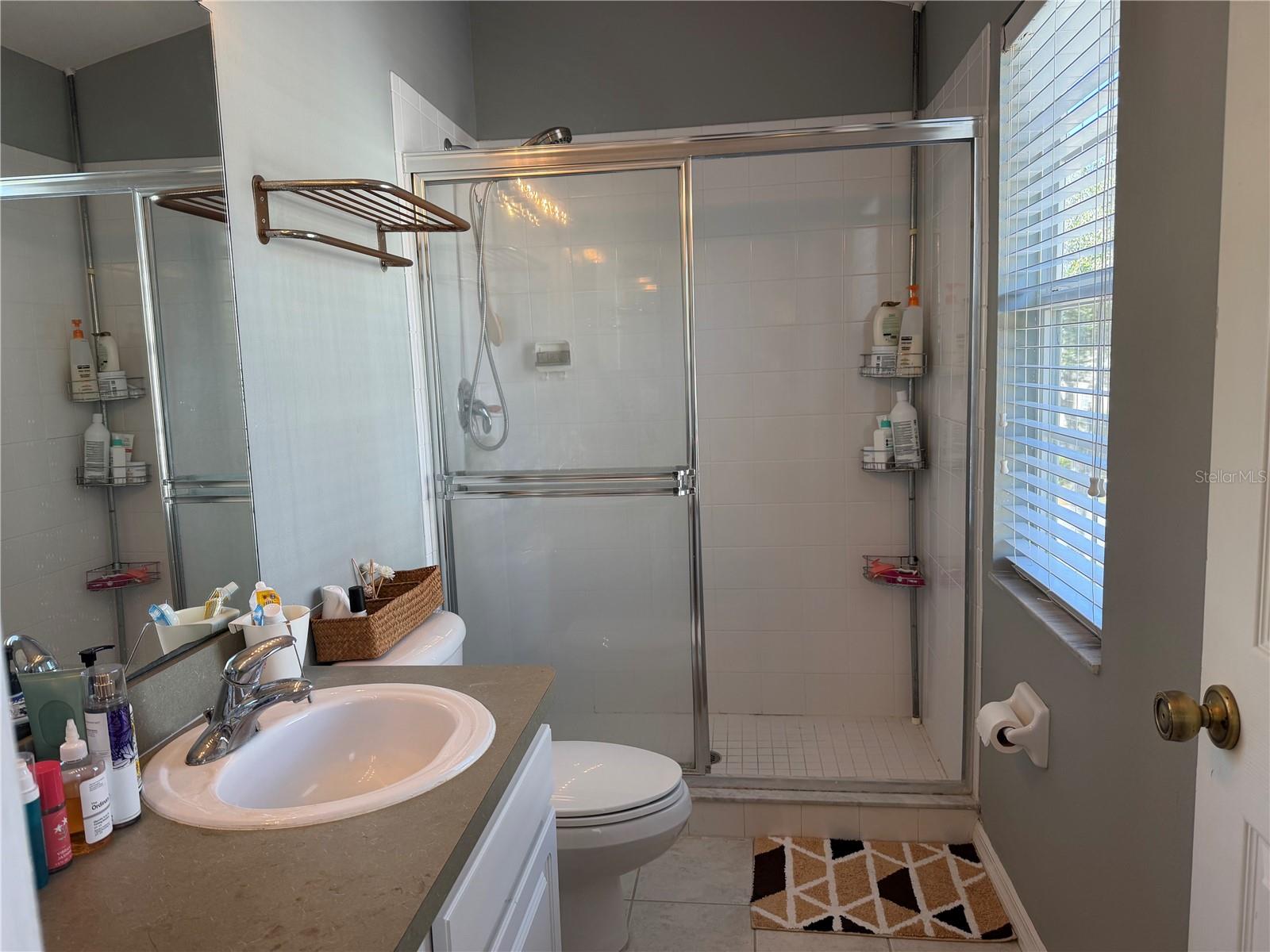 11253 WINDSOR PLACE CIR, TAMPA, FL, 33626
