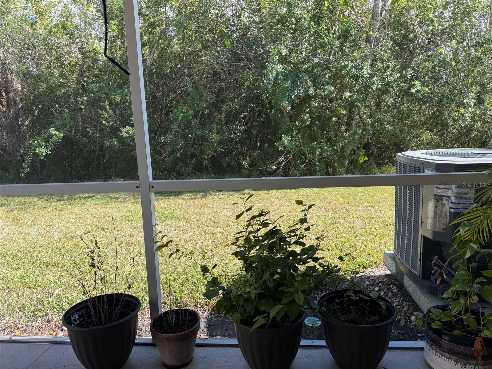 11253 WINDSOR PLACE CIR, TAMPA, FL, 33626