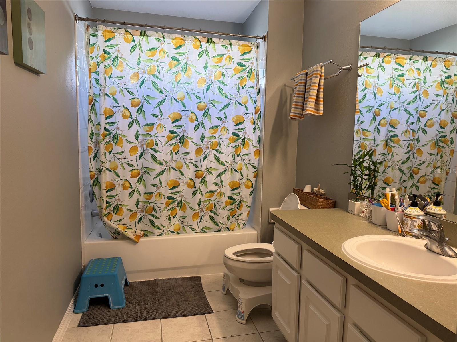 11253 WINDSOR PLACE CIR, TAMPA, FL, 33626