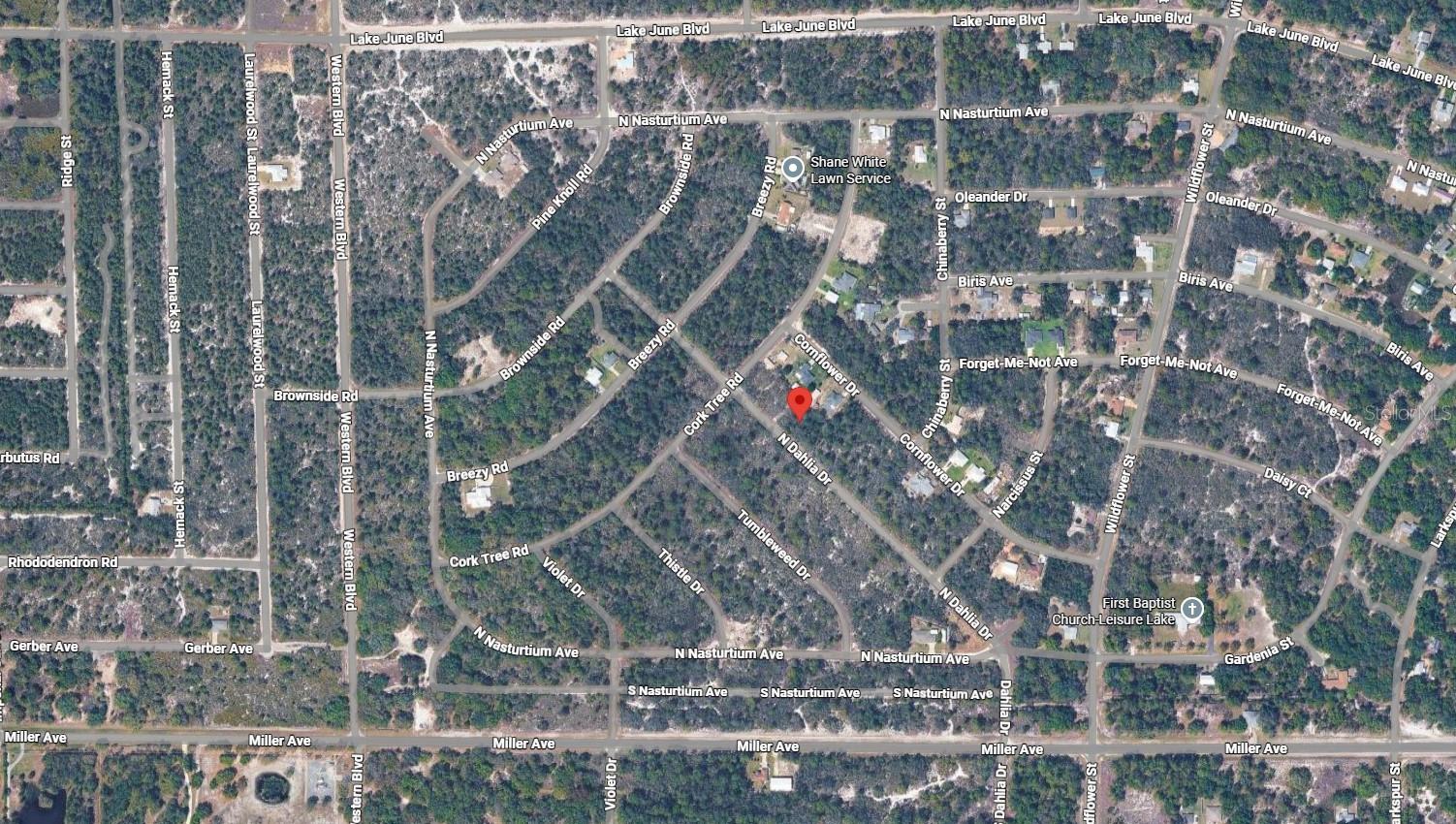 3235 N DAHLIA DR, LAKE PLACID, FL, 33852