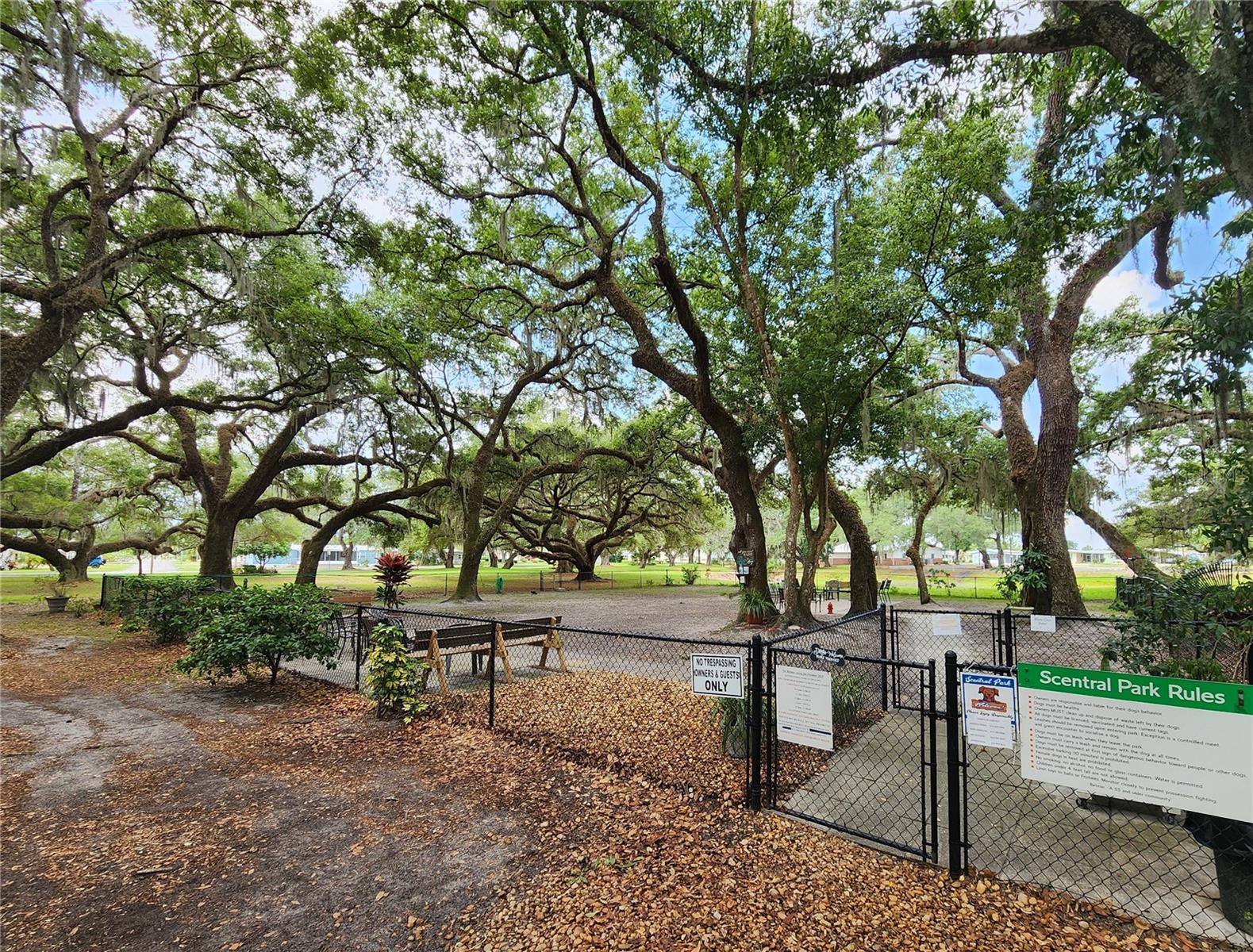 37408 MARTA AVE, ZEPHYRHILLS, FL, 33542