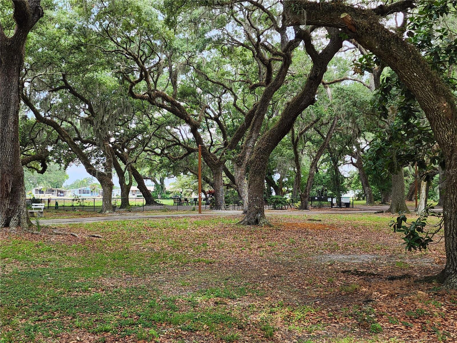 37408 MARTA AVE, ZEPHYRHILLS, FL, 33542