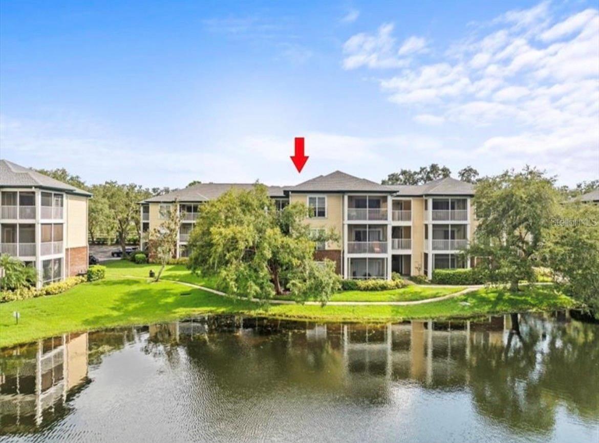 4115 CHATHAM OAK CT #222, TAMPA, FL, 33624