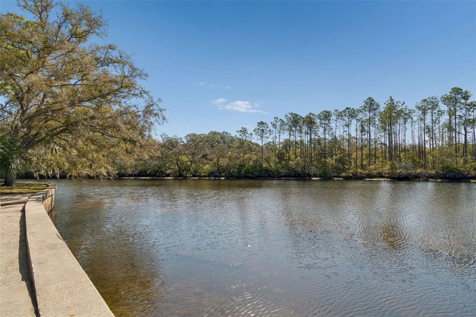 1238 FLOTILLA DR, HOLIDAY, FL, 34690