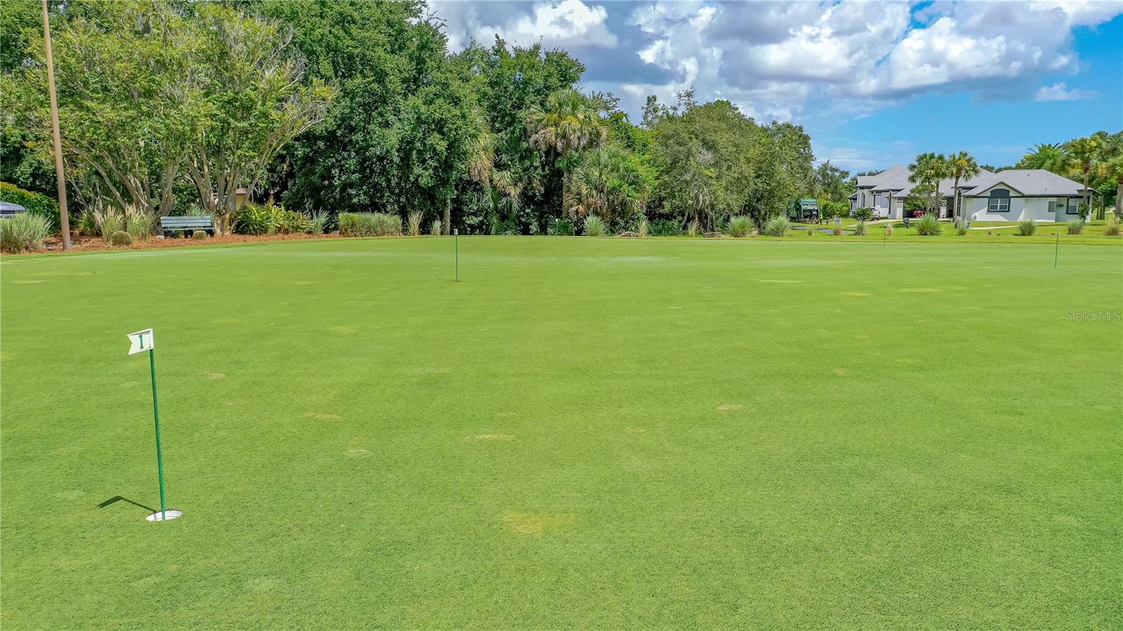 727 GRAPE IVY LN, NEW SMYRNA BEACH, FL, 32168