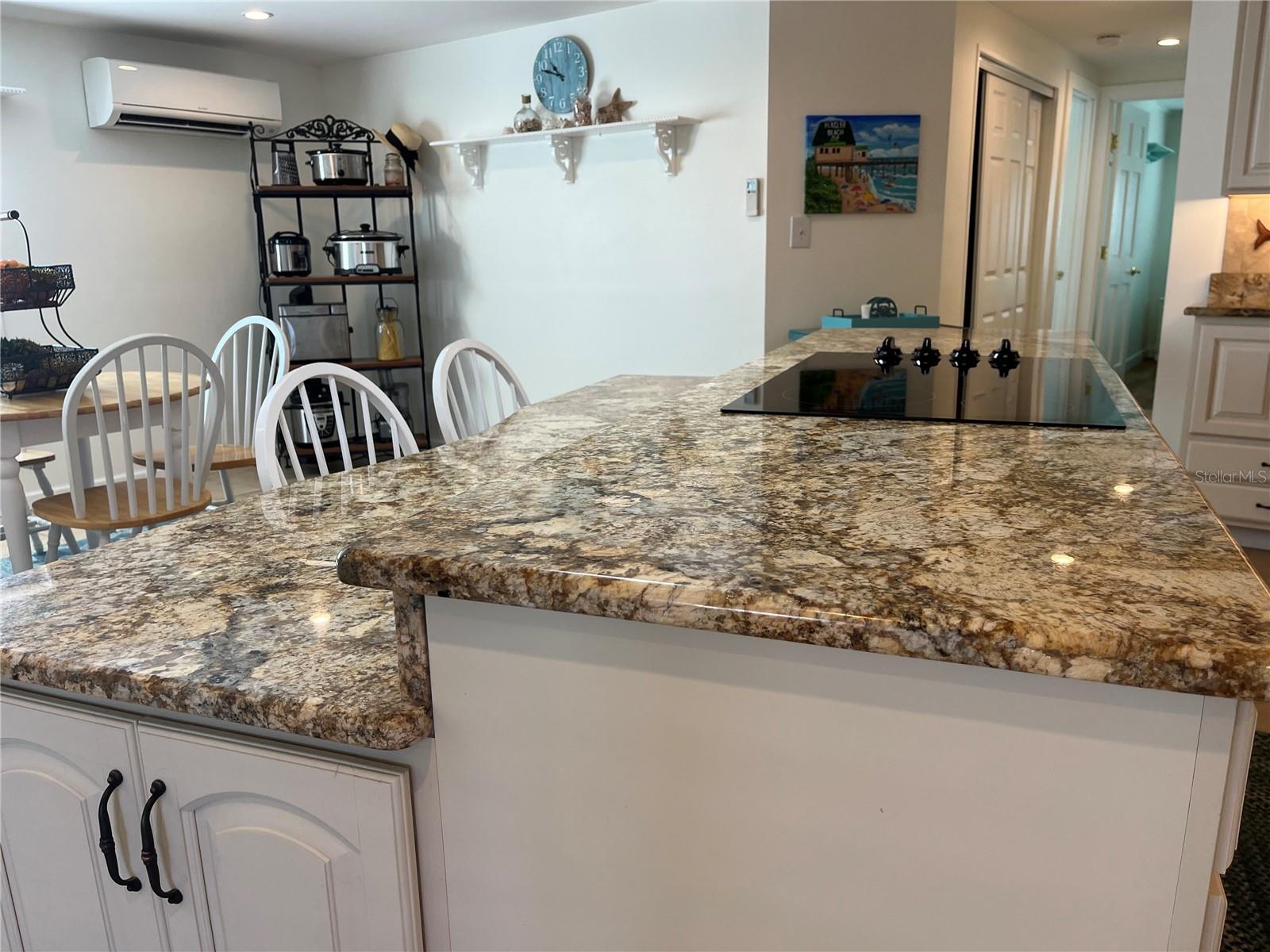 98 MERRIMAC DR, FLAGLER BEACH, FL, 32136