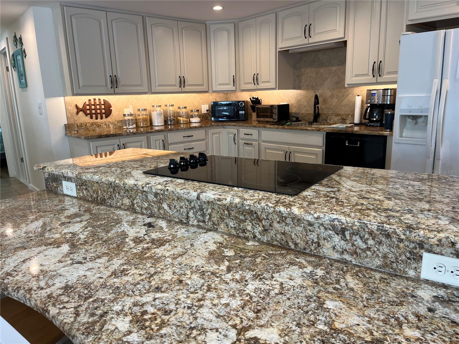 98 MERRIMAC DR, FLAGLER BEACH, FL, 32136