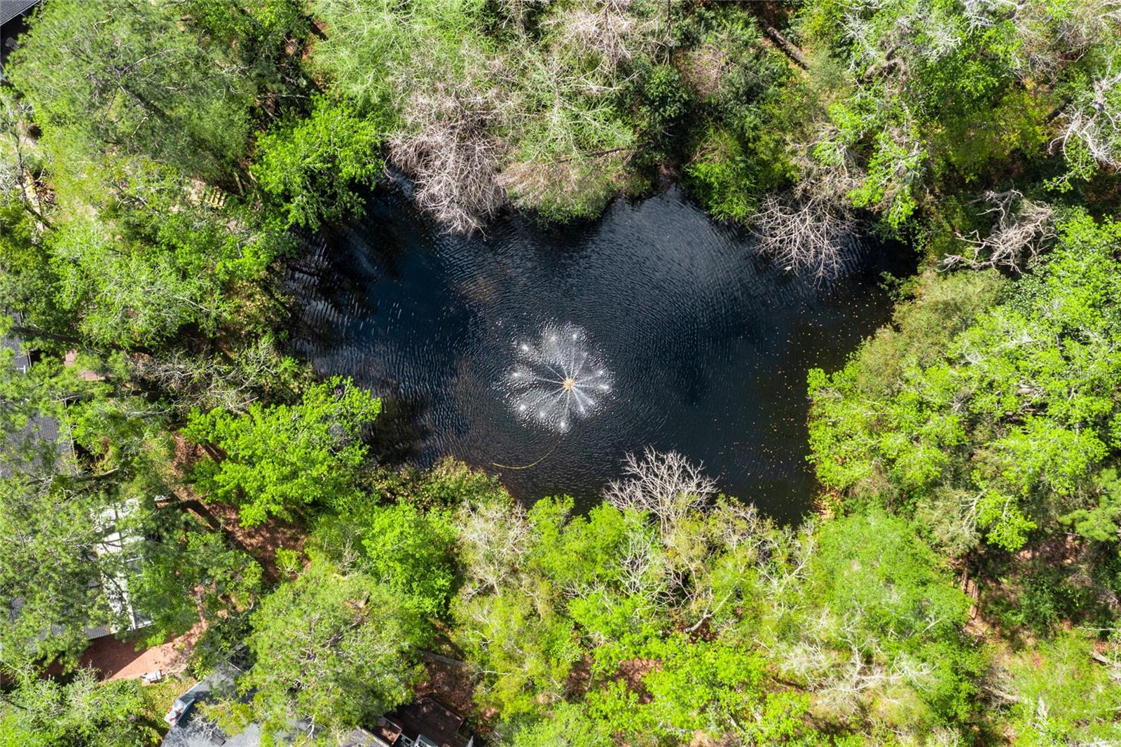 5328 NW 9TH LN, GAINESVILLE, FL, 32605