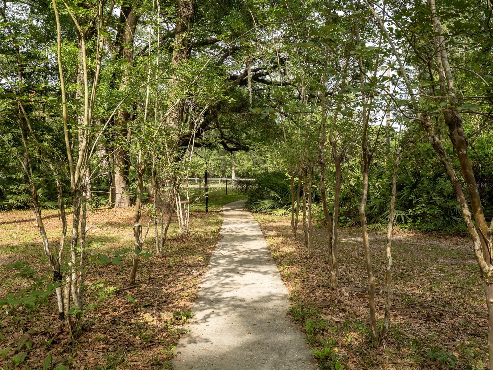 5106 SW 177TH ST, ARCHER, FL, 32618