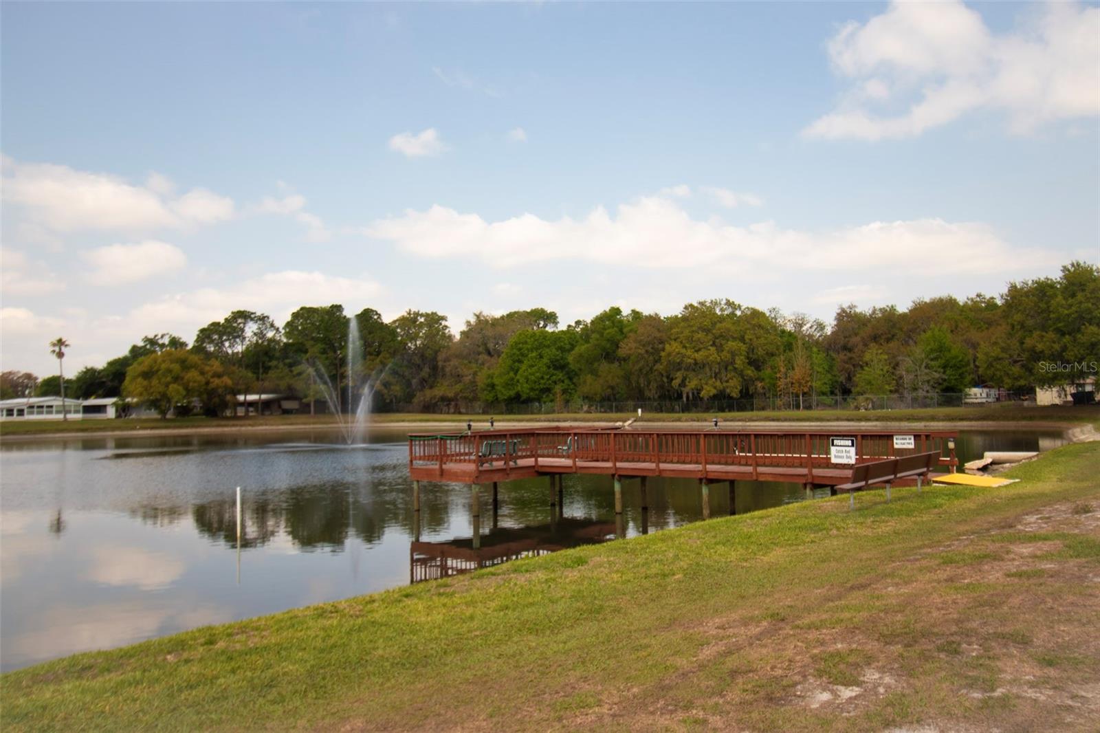 3024 BRIAR ST, WESLEY CHAPEL, FL, 33543