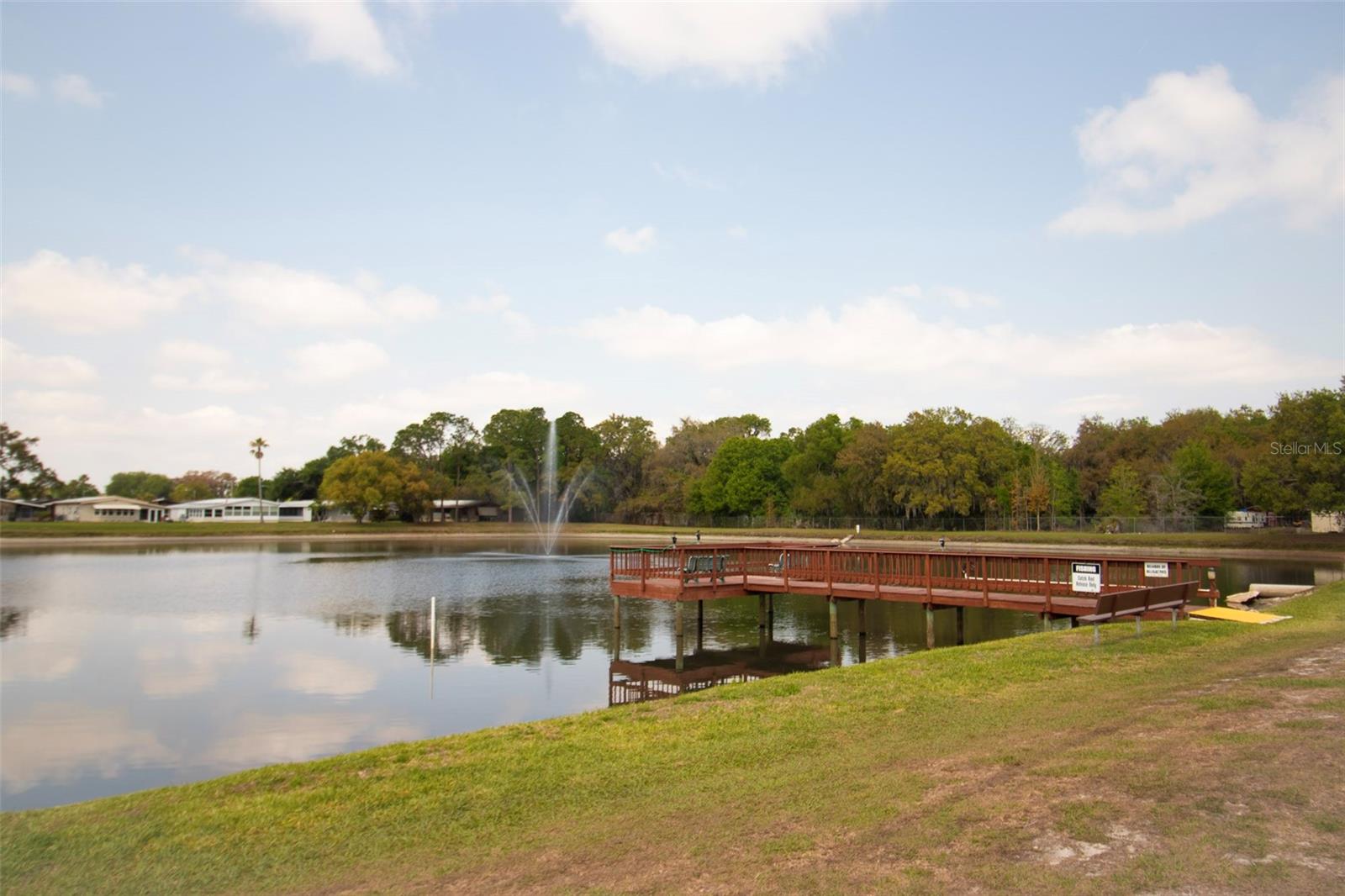 3024 BRIAR ST, WESLEY CHAPEL, FL, 33543