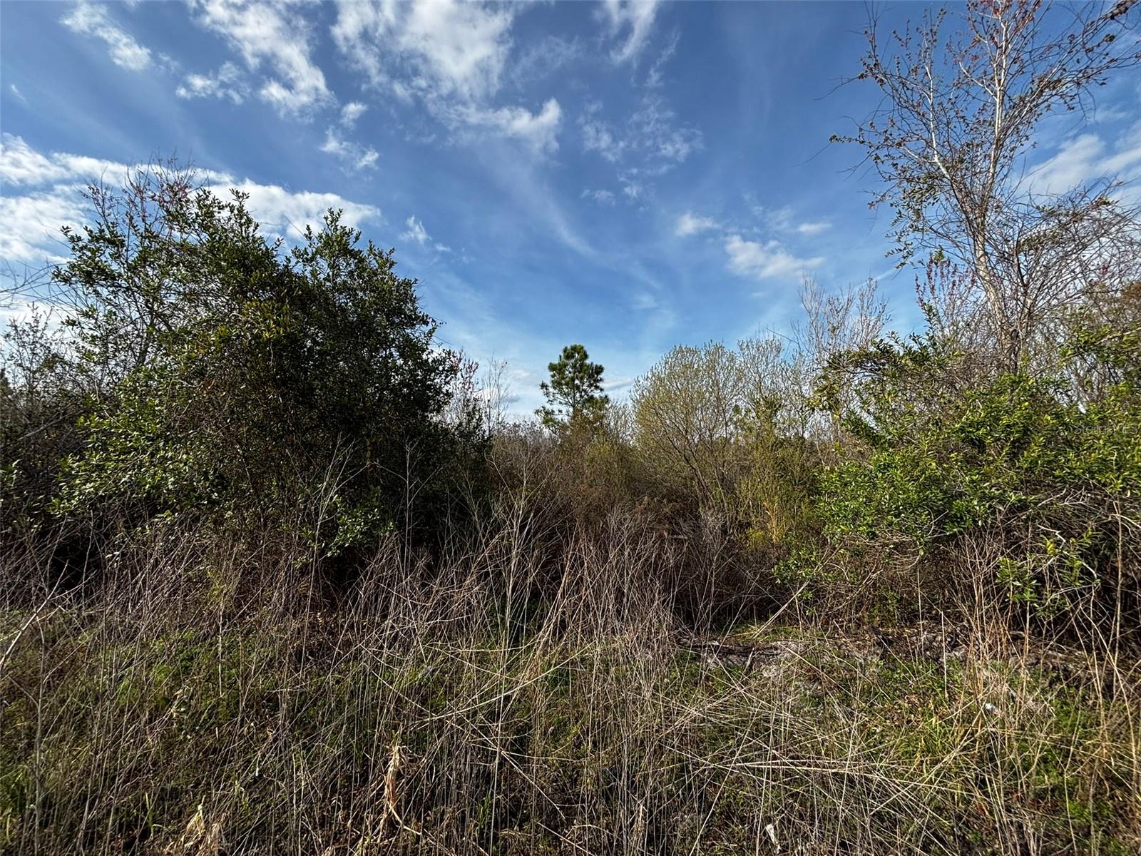 4125 QUAIL NEST LN, NEW SMYRNA BEACH, FL, 32168