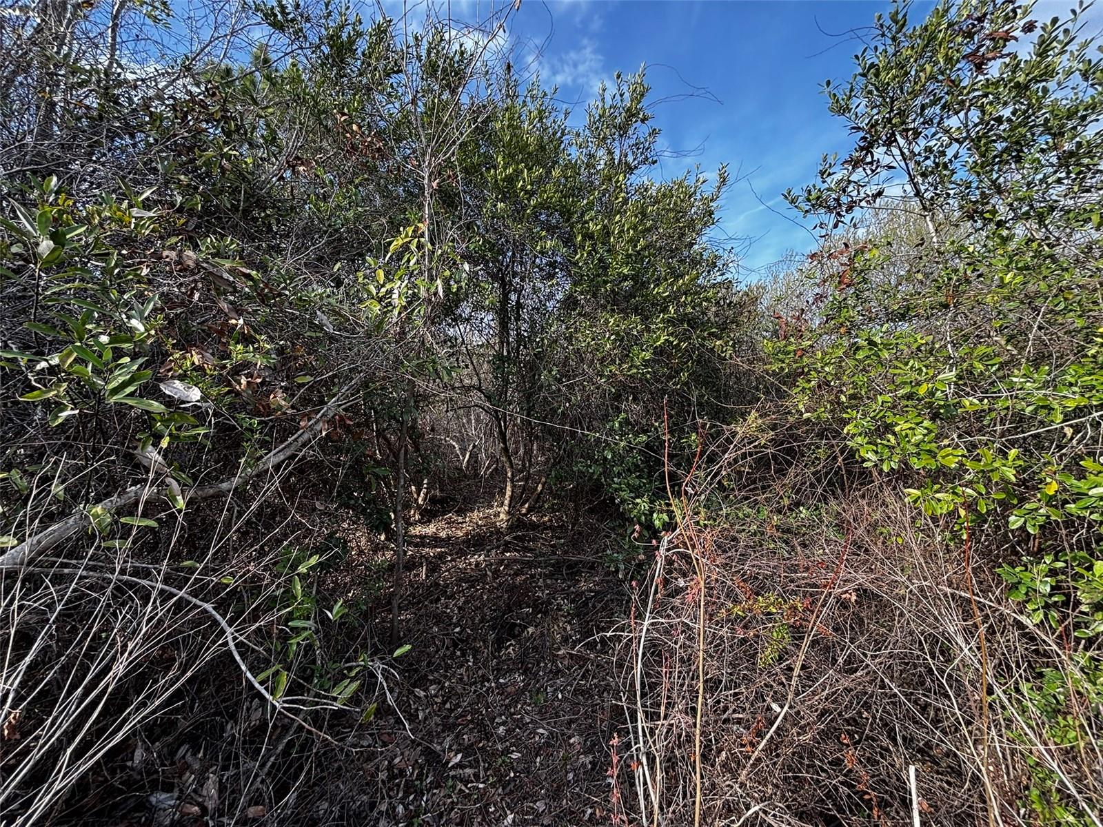 4125 QUAIL NEST LN, NEW SMYRNA BEACH, FL, 32168