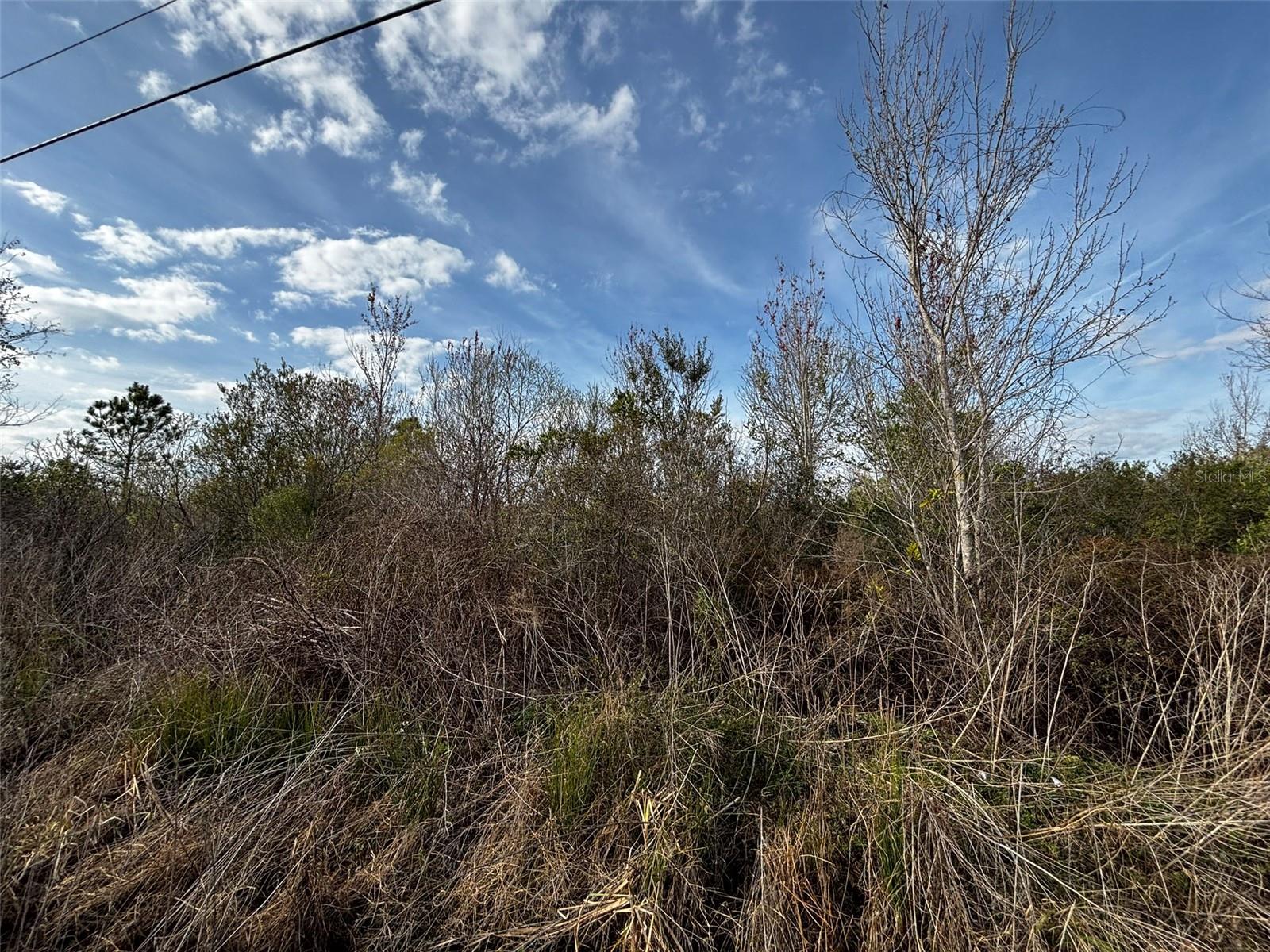 4125 QUAIL NEST LN, NEW SMYRNA BEACH, FL, 32168