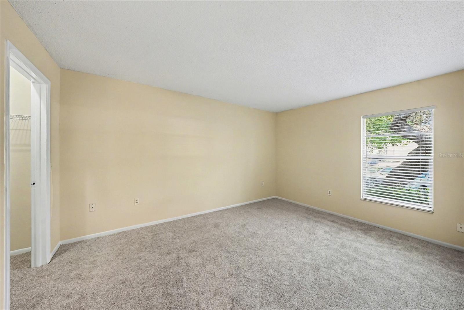 14319 HANGING MOSS CIR #101, TAMPA, FL, 33613