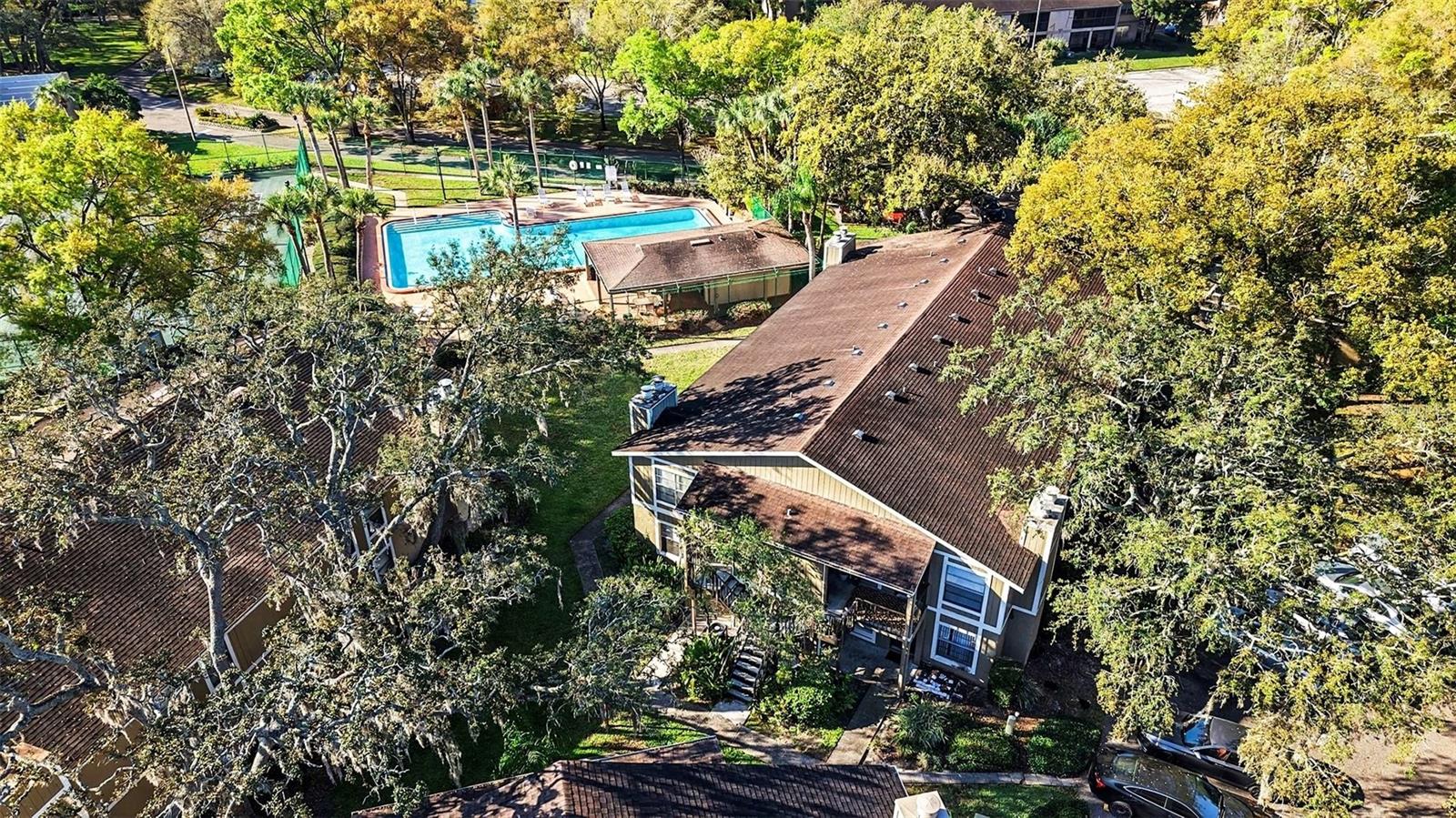 14319 HANGING MOSS CIR #101, TAMPA, FL, 33613