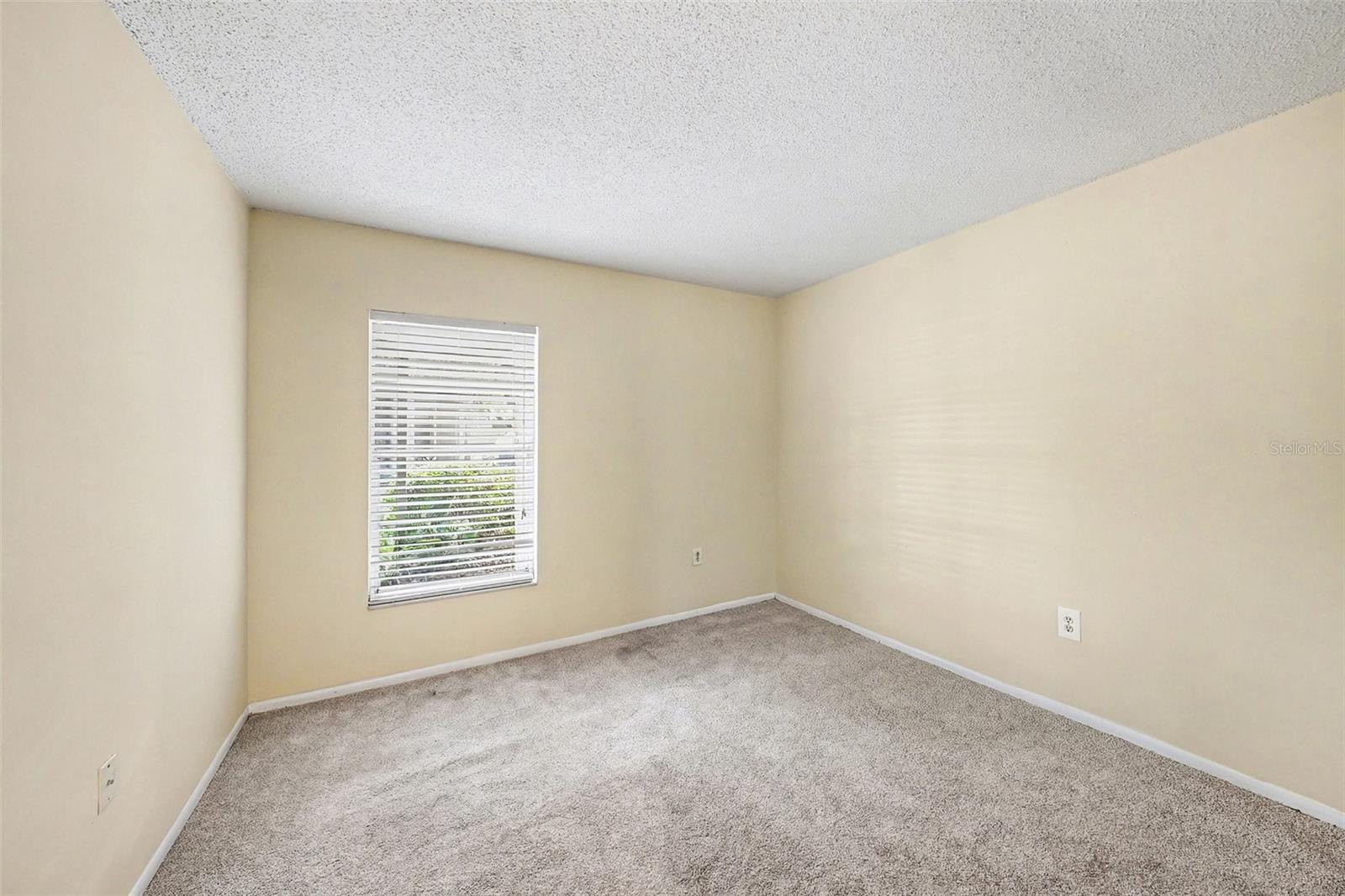14319 HANGING MOSS CIR #101, TAMPA, FL, 33613